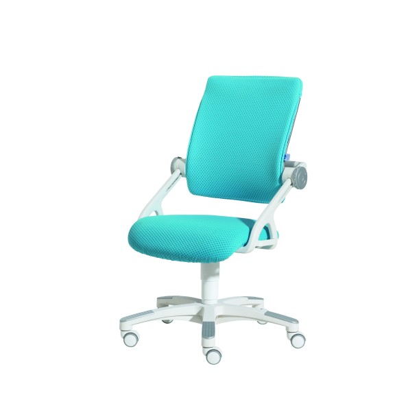 Krzesło regulowane YVO niebieskie Paidi