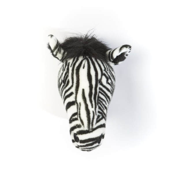 Trofeum zebra Daniel, Wild&Soft
