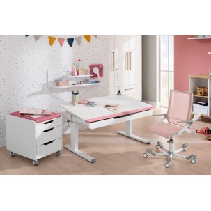 Adjustable desk Teenio white chalk/pink 120cm PAIDI