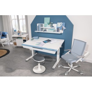 Adjustable desk Teenio white chalk/light blue 120cm PAIDI