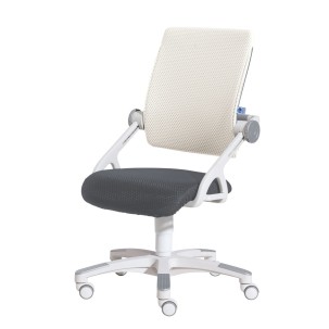 Krzesło regulowane Yvo szaro-białe PAIDI