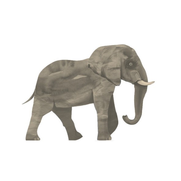 Elephant wall sticker Wild&Soft